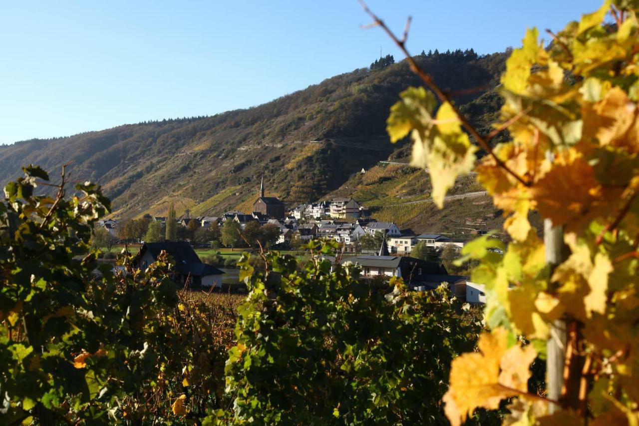Ferienwohnung Moselblick-Stein Valwig Kültér fotó