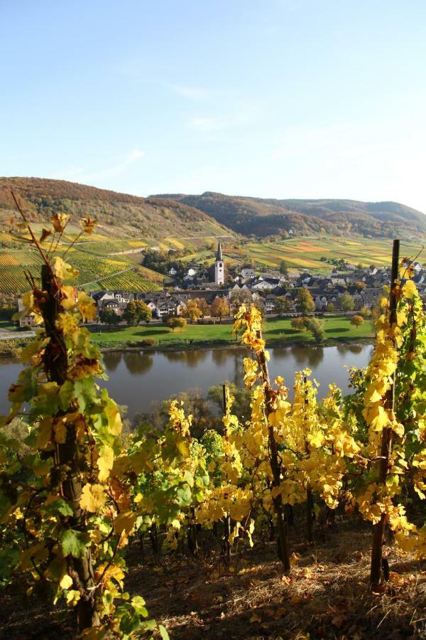 Ferienwohnung Moselblick-Stein Valwig Kültér fotó